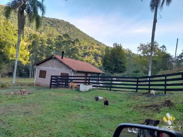 Sítio e chácara venda em Região Geográfica Imediata de Bento Gonçalves, Santa Tereza