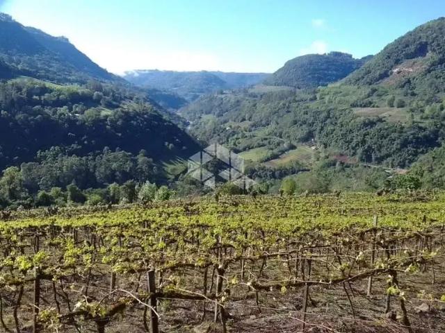 Sítio e chácara venda em Região Geográfica Imediata de Bento Gonçalves, Santa Tereza