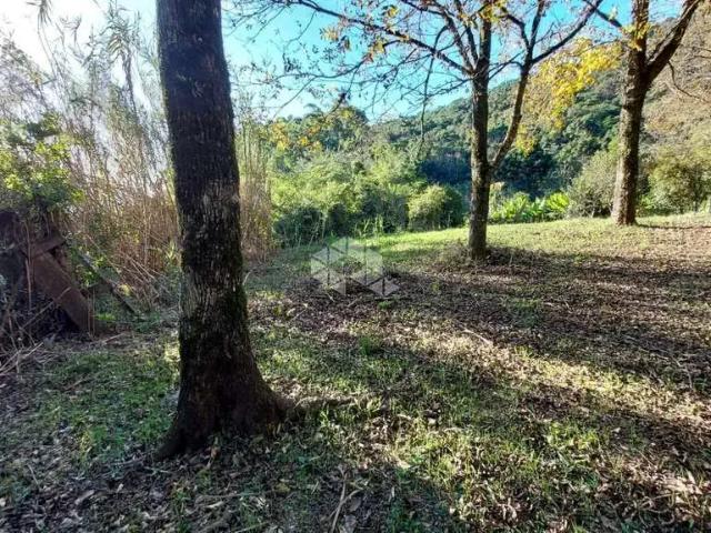 Sítio e chácara venda em Região Geográfica Imediata de Bento Gonçalves, Santa Tereza