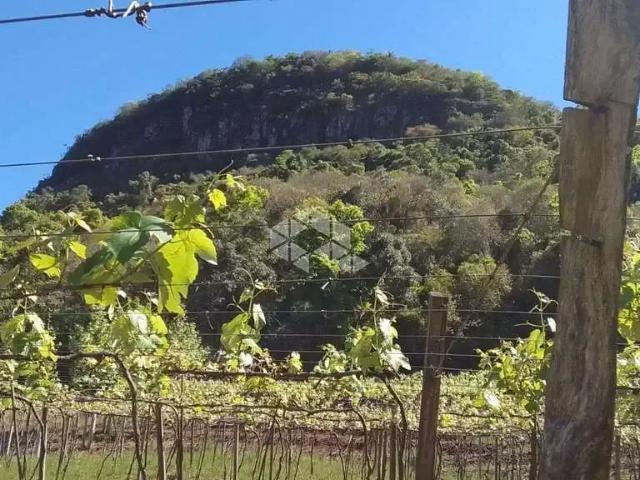 Sítio e chácara venda em Região Geográfica Imediata de Bento Gonçalves, Santa Tereza
