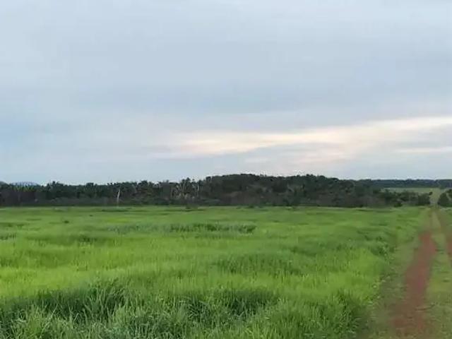 Sítio e chácara venda em Região Geográfica Imediata de Confresa - Vila Rica, Santa Terezinha