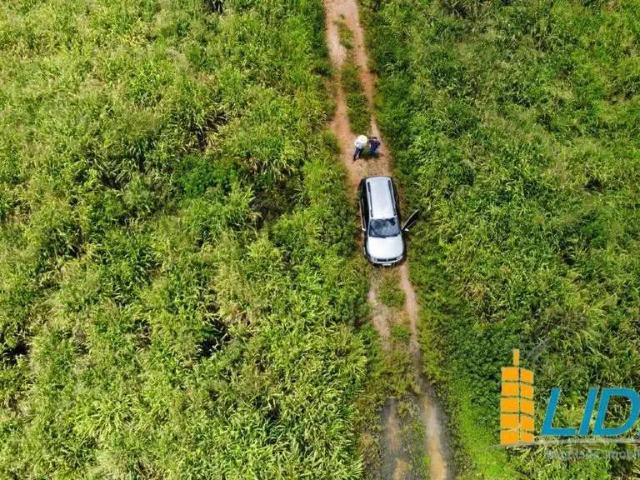 Sítio e chácara venda em Região Geográfica Imediata de Confresa - Vila Rica, Santa Terezinha