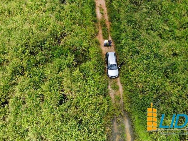 Sítio e chácara venda em Santa Terezinha, Região Geográfica Intermediária de Barra do Garças