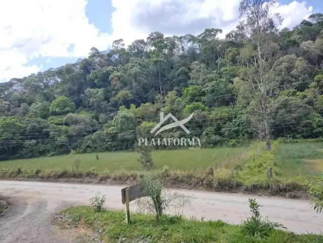 Sítio e chácara venda em Região Geográfica Imediata de Rio do Sul, Santa Terezinha