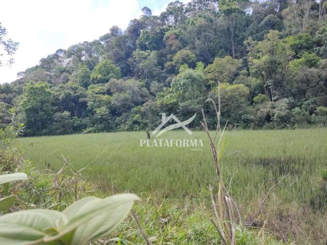 Sítio e chácara venda em Região Geográfica Imediata de Rio do Sul, Santa Terezinha