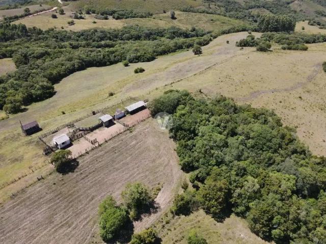 Sítio e chácara venda em Região Geográfica Imediata de São Gabriel - Caçapava do Sul, Santana da Boa Vista