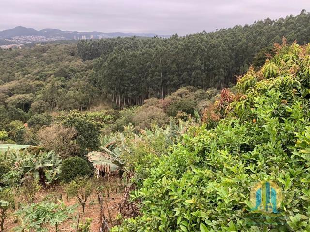 Sítio e chácara venda em Santana de Parnaíba, Região Geográfica Intermediária de São Paulo