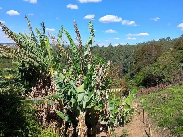 Sítio e chácara venda em Região Imediata de São Paulo, Região Metropolitana de São Paulo