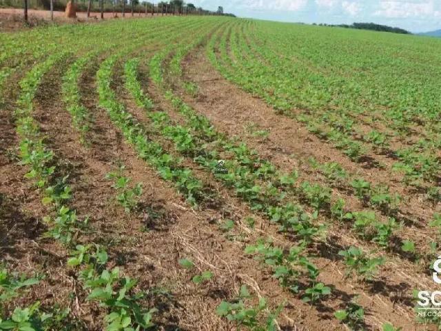 Sítio e chácara venda em Região Norte