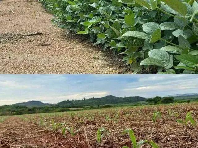 Sítio e chácara venda em Região Norte