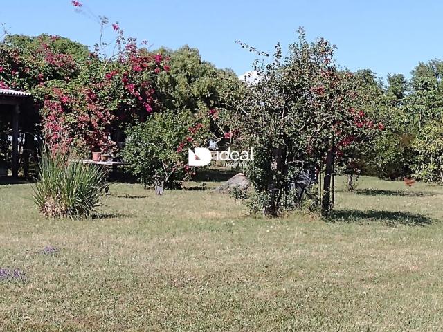 Sítio e chácara venda em Livramento, Sant'Ana do Livramento