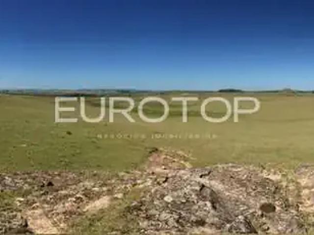 Sítio e chácara venda em Região Geográfica Imediata de Santana do Livramento, Região Sul