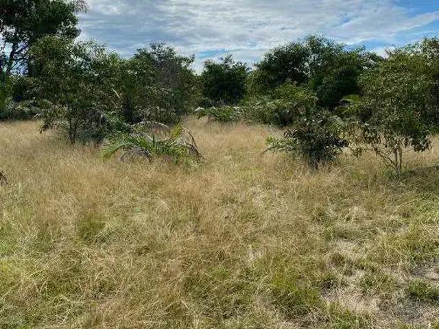 Sítio e chácara venda em Região Geográfica Imediata de Santarém, Santarém