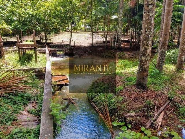 Sítio e chácara venda em Região Geográfica Imediata de Santarém, Santarém