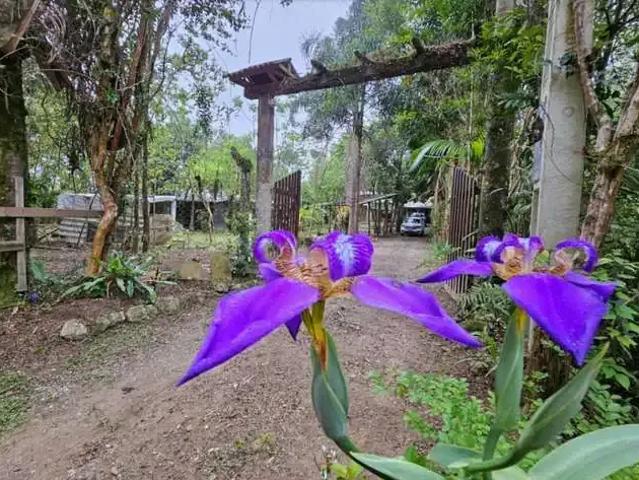 Sítio e chácara venda em Região Geográfica Imediata de Florianópolis, Santo Amaro da Imperatriz