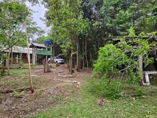 Sítio e chácara venda em Região Geográfica Imediata de Florianópolis, Santo Amaro da Imperatriz