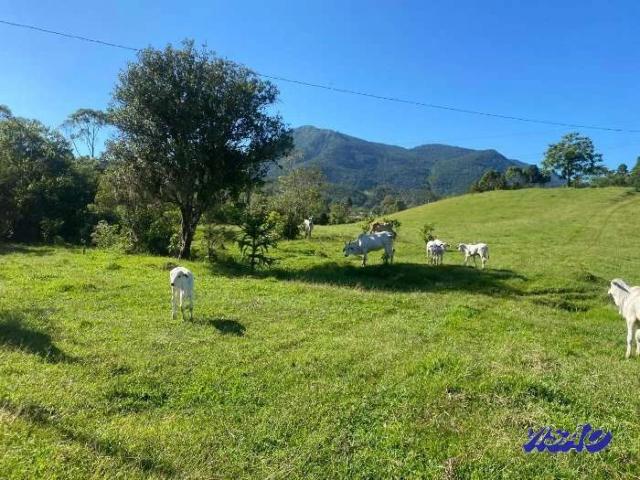 Sítio e chácara venda em Vargem Pinheiros, Santo Amaro da Imperatriz