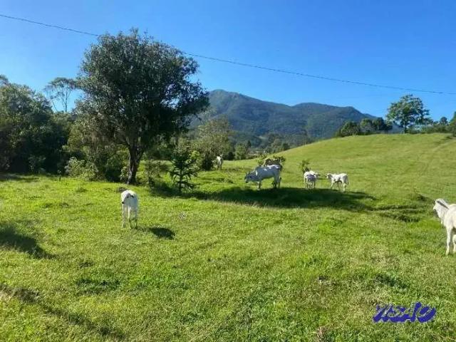 Sítio e chácara venda em Região Geográfica Imediata de Florianópolis, Santo Amaro da Imperatriz