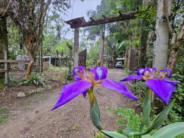 Sítio e chácara venda em Sul do Rio, Santo Amaro da Imperatriz