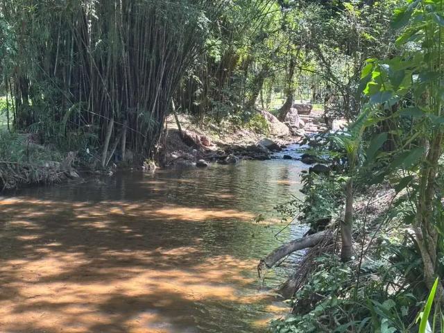 Sítio e chácara venda em Região Geográfica Imediata de Florianópolis, Santo Amaro da Imperatriz