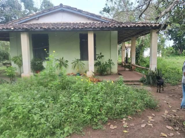 Sítio e chácara venda em Região Geográfica Imediata de Salvador, Santo Amaro