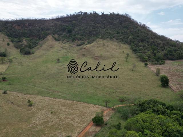 Sítio e chácara venda em Santo Antônio da Alegria