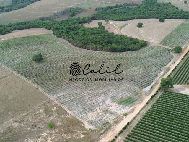 Sítio e chácara venda em Santo Antônio da Alegria