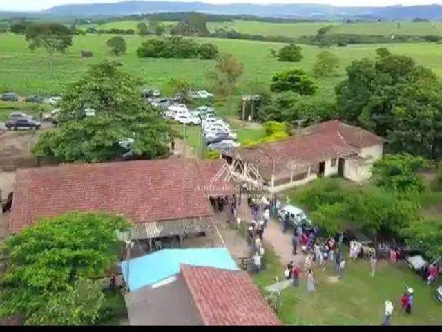 Sítio e chácara venda em Região Imediata de Ribeirão Preto, Região Metropolitana de Ribeirão Preto