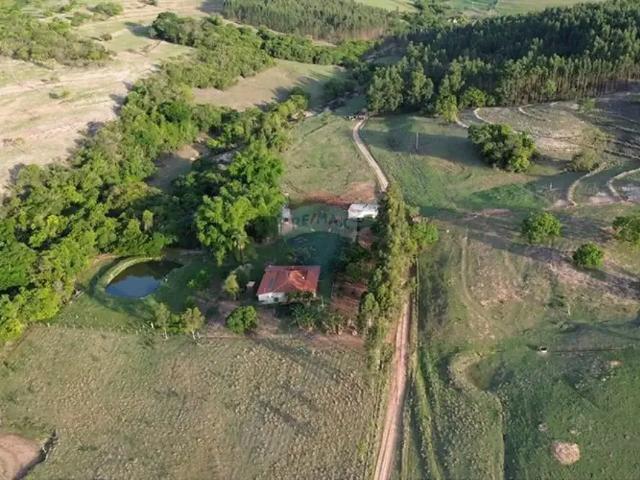 Sítio e chácara venda em Região Imediata de Ribeirão Preto, Região Metropolitana de Ribeirão Preto