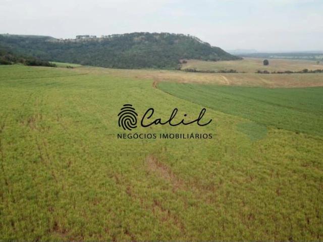 Sítio e chácara venda em Santo Antônio da Alegria