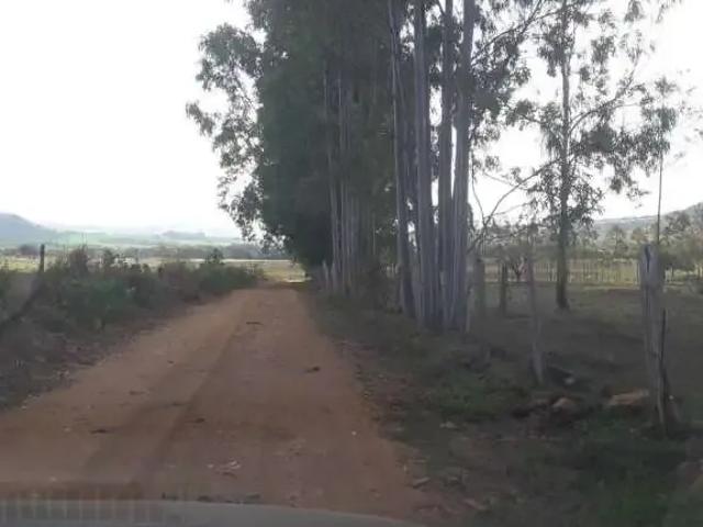 Sítio e chácara venda em Região Imediata de Ribeirão Preto, Região Metropolitana de Ribeirão Preto