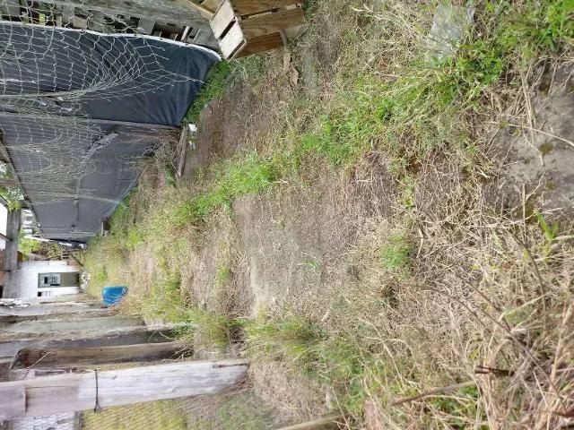 Sítio e chácara venda em Região Geográfica Imediata de Porto Alegre, Região Metropolitana de Porto Alegre