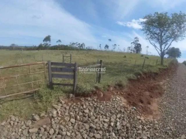 Sítio e chácara venda em Região Geográfica Imediata de Santo Antônio da Platina, Santo Antônio da Platina