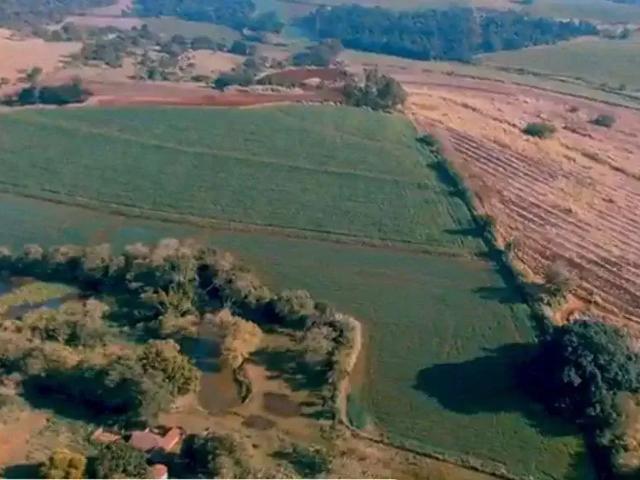 Sítio e chácara venda em Região Geográfica Imediata de Santo Antônio da Platina, Santo Antônio da Platina