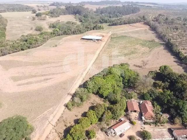 Sítio e chácara venda em Região Imediata de Campinas, Região Metropolitana de Campinas