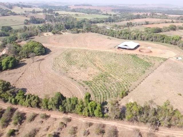 Sítio e chácara venda em Região Geográfica Imediata de Belém, Belém