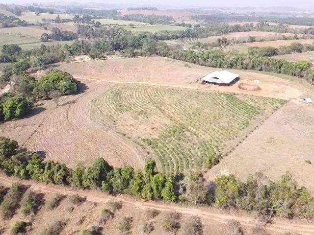 Sítio e chácara venda em Região Geográfica Imediata de Belém, Belém