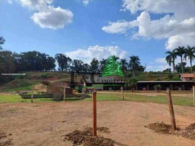 Sítio e chácara venda em Região Geográfica Imediata de Belém, Belém