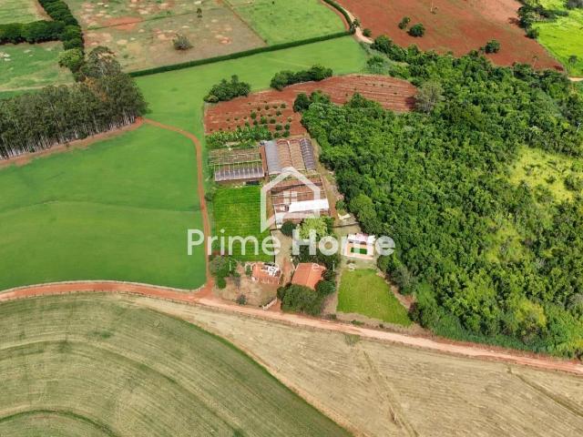 Sítio e chácara venda em Santo Antônio de Posse