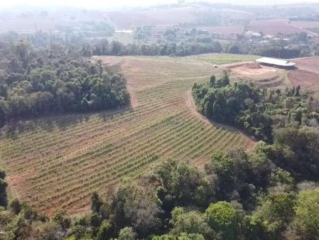 Sítio e chácara venda em Região Imediata de Campinas, Região Metropolitana de Campinas