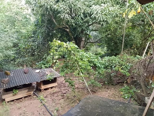 Sítio e chácara venda em Região Geográfica Imediata de Luziânia, Região Integrada de Desenvolvimento do Distrito Federal e Entorno