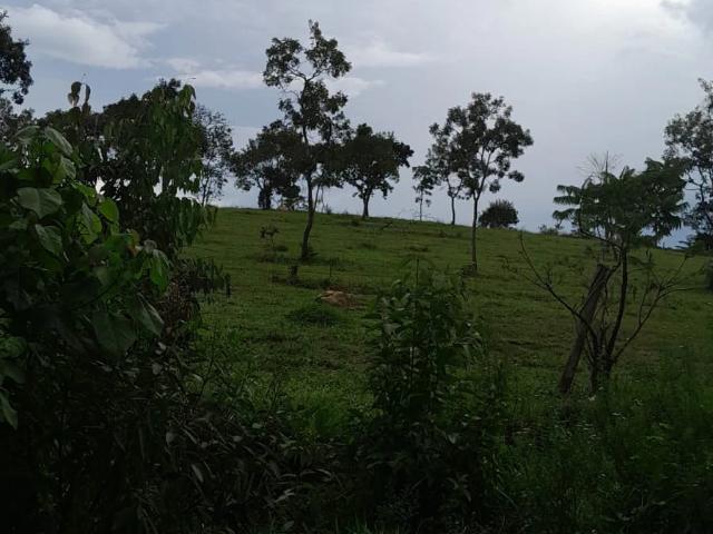 Sítio e chácara venda em Centro, Santo Antônio do Descoberto
