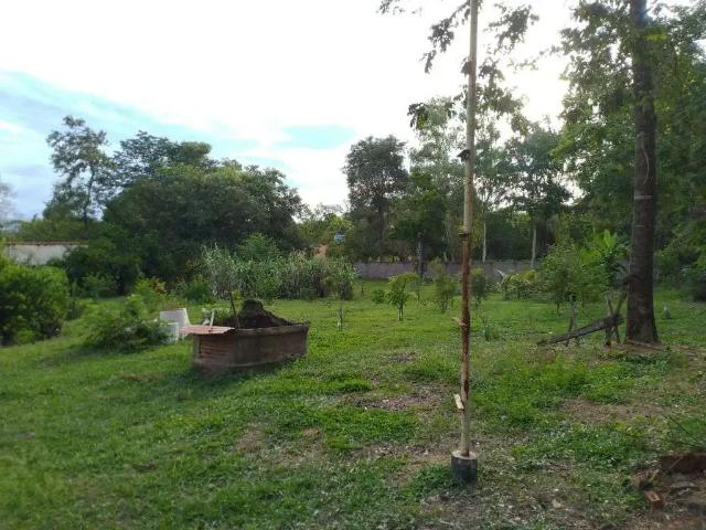 Sítio e chácara venda em Região Geográfica Imediata de Cuiabá, Região Metropolitana do Vale do Rio Cuiabá