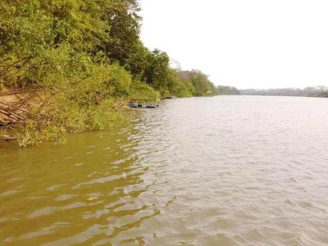 Sítio e chácara venda em Região Geográfica Imediata de Cuiabá, Região Metropolitana do Vale do Rio Cuiabá