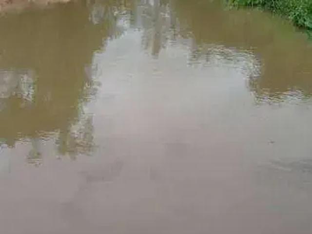 Sítio e chácara venda em Região Geográfica Imediata de Cuiabá, Região Metropolitana do Vale do Rio Cuiabá