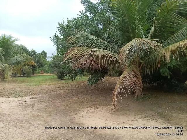 Sítio e chácara venda em Região Geográfica Imediata de Cuiabá, Região Metropolitana do Vale do Rio Cuiabá