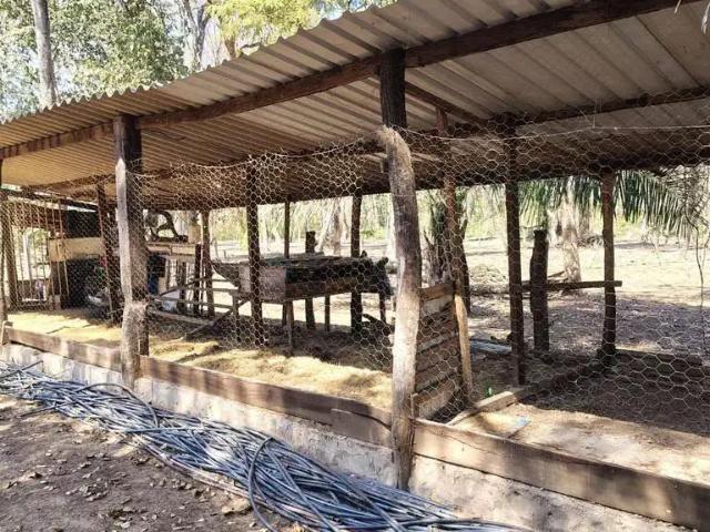 Sítio e chácara venda em Região Geográfica Imediata de Cuiabá, Região Metropolitana do Vale do Rio Cuiabá