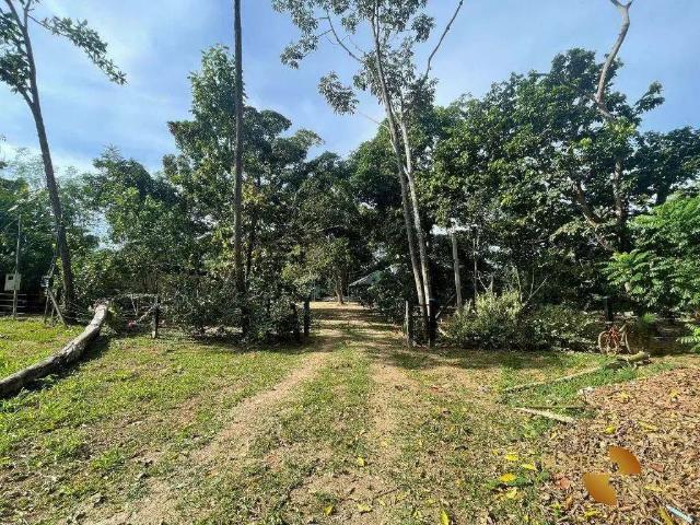 Sítio e chácara venda em Região Geográfica Imediata de Cuiabá, Região Metropolitana do Vale do Rio Cuiabá