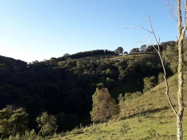 Sítio e chácara venda em Região Imediata de Taubaté-Pindamonhangaba, Região Metropolitana do Vale do Paraíba e Litoral Norte