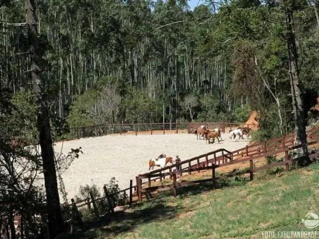 Sítio e chácara venda em Região Imediata de Taubaté-Pindamonhangaba, Região Metropolitana do Vale do Paraíba e Litoral Norte